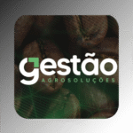 Cliente 35 v2