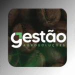 Cliente 35 v2